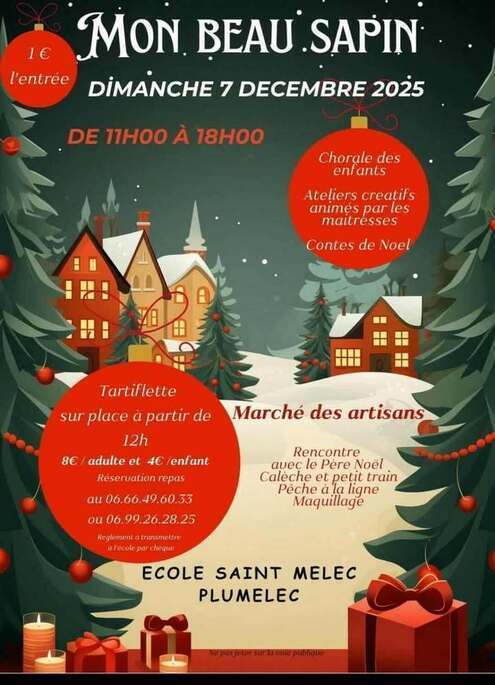 2025-12-07-beau-sapin-plumelec