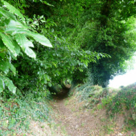 Bignan circuit des landes©F.Baslé