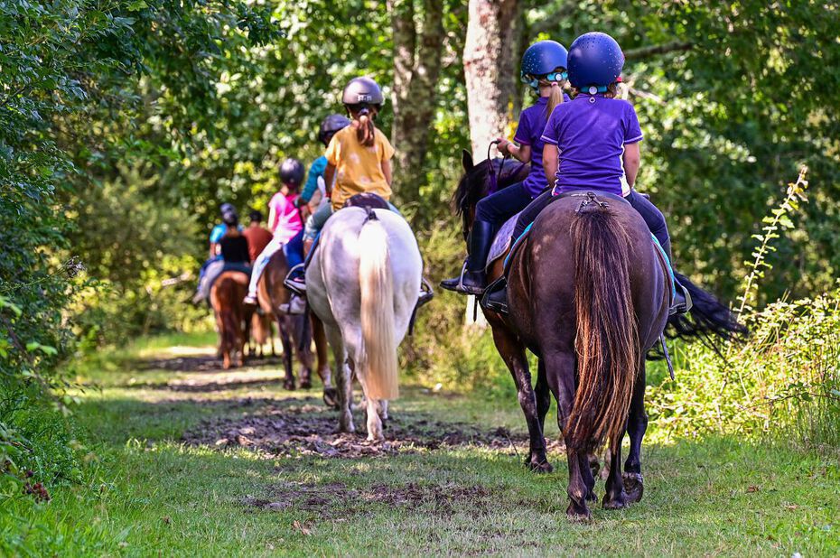 centre-equestre-loic-kersuzan-Morbihan-Tourisme