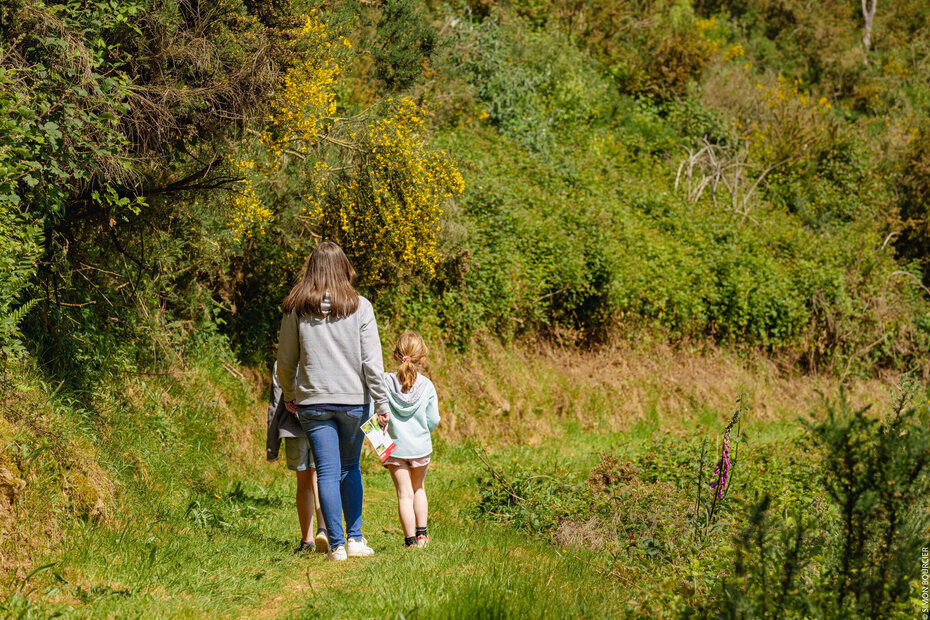 cicruit-ajoncs-plumelin