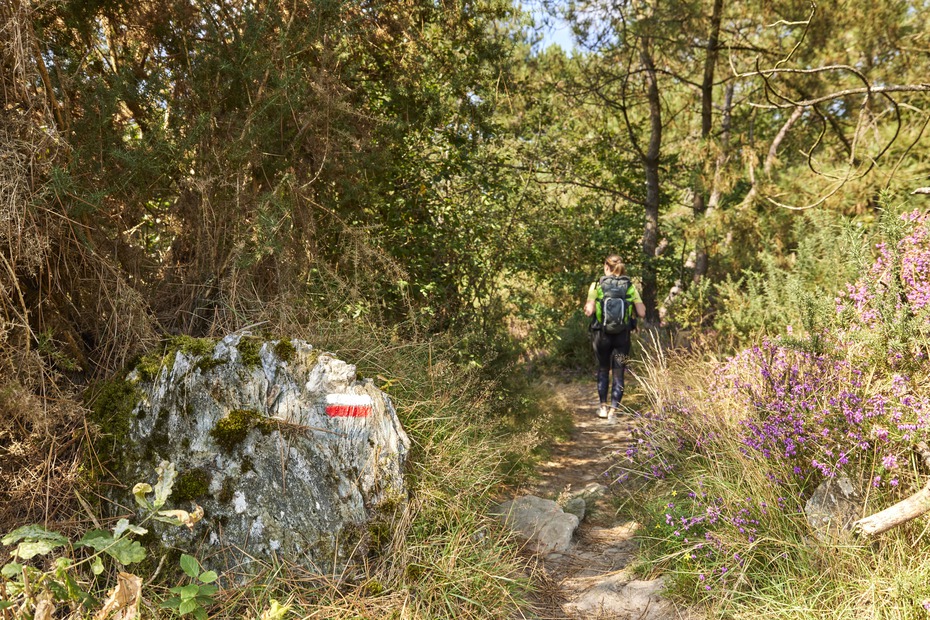 circuit-randonnee-carado-saint-jean-brevelay