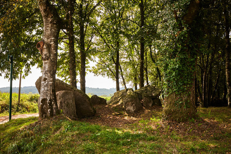 Dolmen de Kergonfalz Bignan