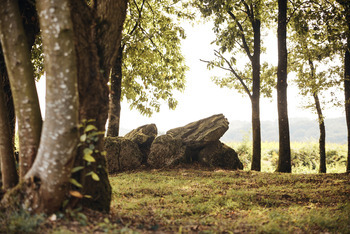 dolmen de kergonfalz bignan