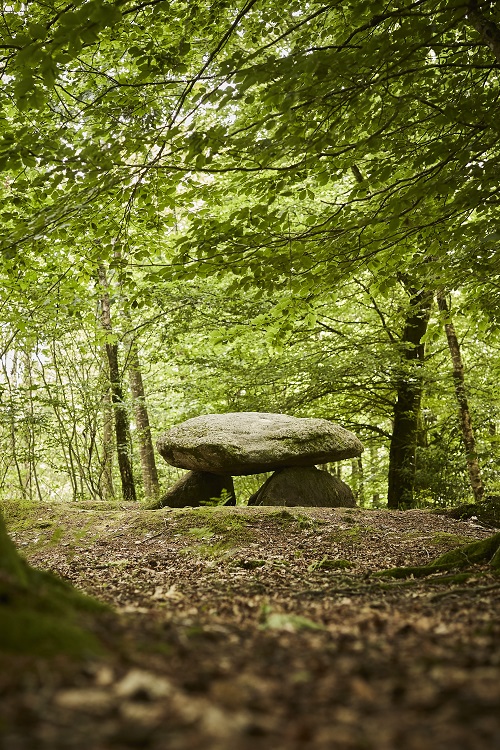 Dolmen Roh Du@aLamoureux_MG_2471 (3)