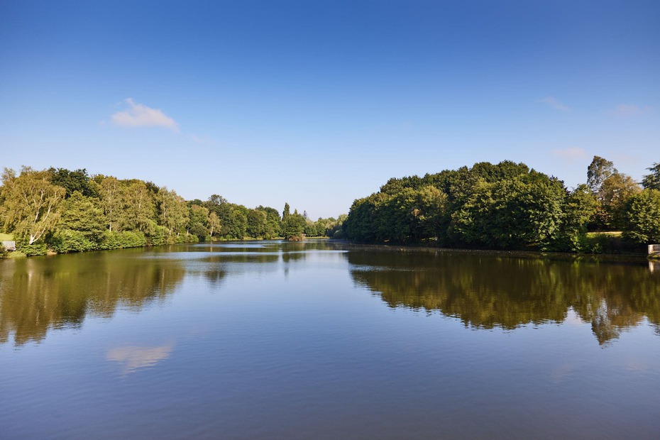 Etang bois d'amour