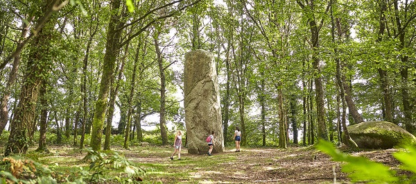 Landes de Lanvaux menhir de Kermarquer ©A.Lamoureux