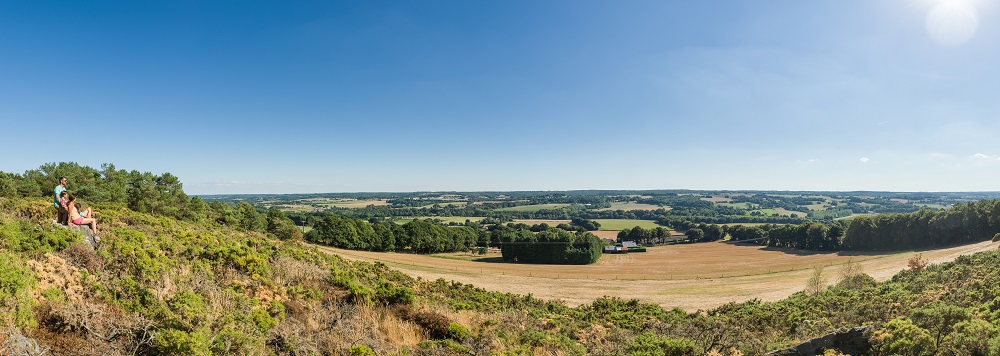 Landes de Lanvaux Morbihan Saint-Jean-Brévelay ©E.Berthier