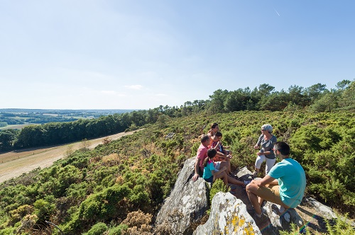 Landes de Lanvaux2©E. Berthier