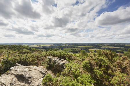 landes-de-lanvaux-saint-jean-brevelay (1)