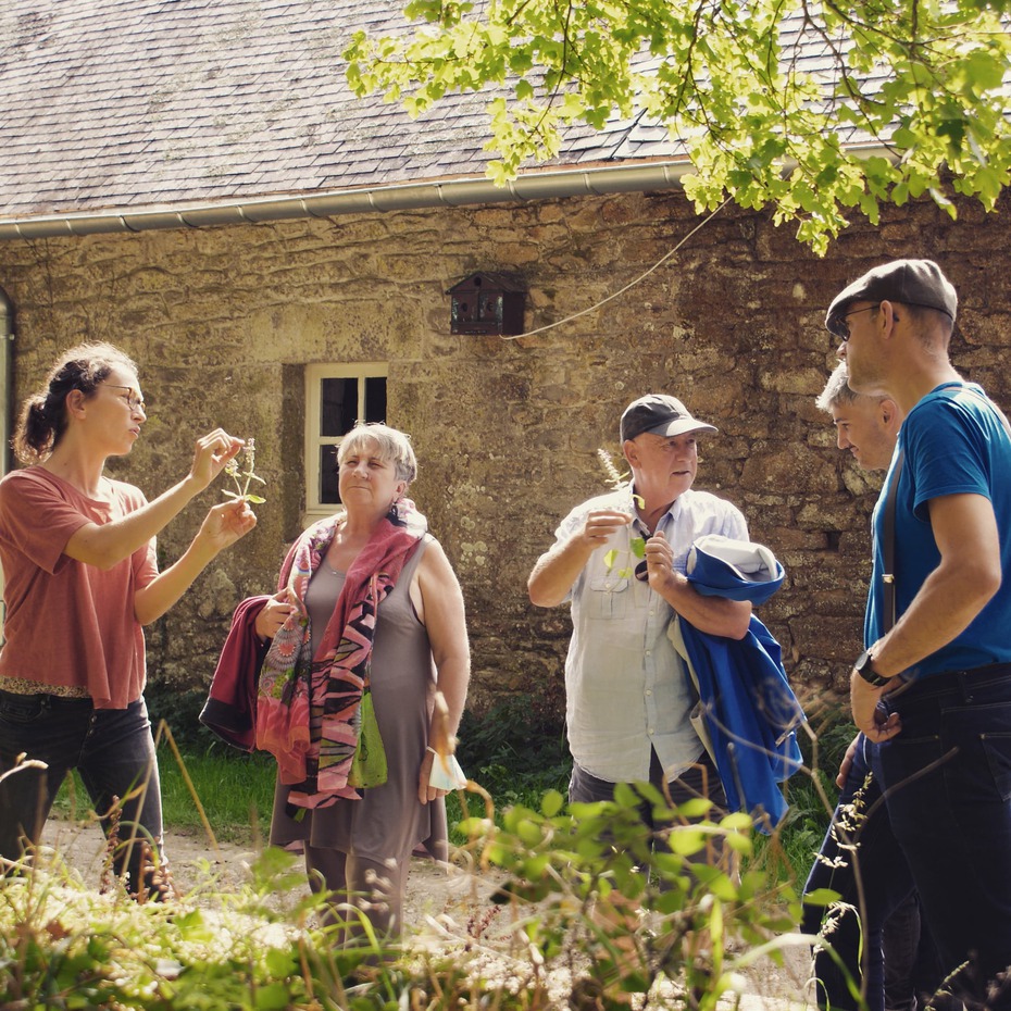 les-tresors-verts-adeline-bahon (2)