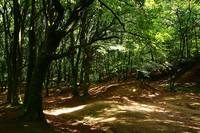 Paysage Locminé Butte de Quistinic©M.Talmon web