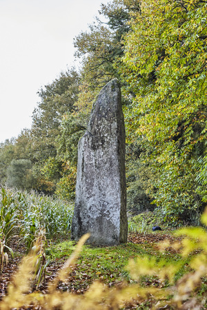 Menhir Goh Menhir Saint Jean Brévelay