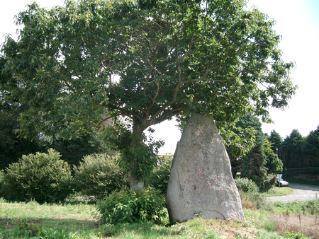 Menhir Kerdramel Saint Jean Brévelay