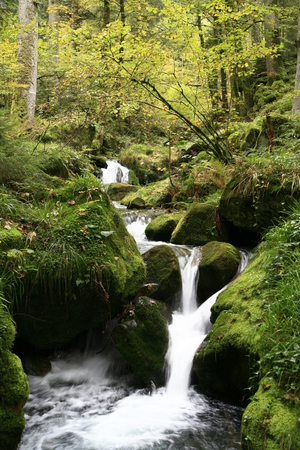 Rivière ©Schaffner M
