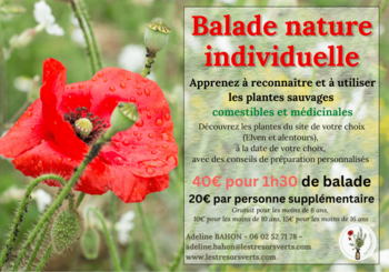 Balades nature individuelles