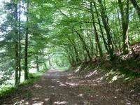 Circuit des carrières Plumelec-52