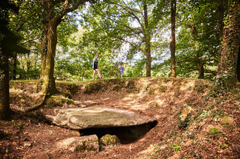 Dolmen de Kergonfalz Bignan