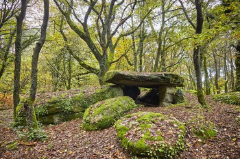 Dolmen de Roh Koh Koet Saint Jean Brévelay