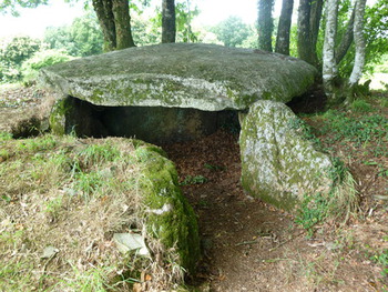 Dolmen Roche Milgourdy Plumelec