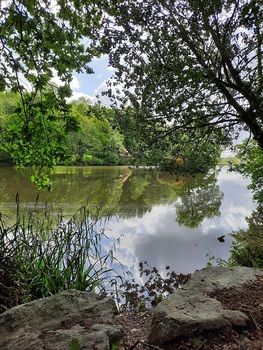 Etang du Bois d'Amour Locminé