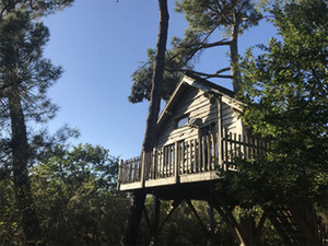 hebergement-insolite-bretagne-en-cabane-moustoir-ac