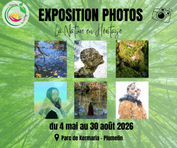 impa_2026-expo-photo-kermaria-plumelin.png