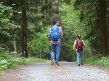 impa_Randonee-foret--juliane-liebermann.jpg