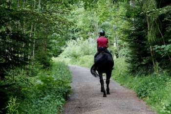 impa_balade-cheval-4.jpg