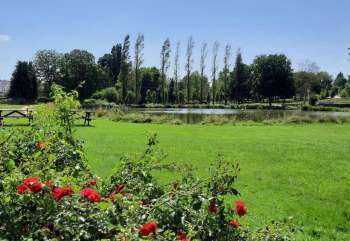 impa_plan-d-eau-saint-allouestre--1--2.jpg