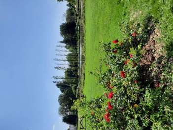 impa_plan-d-eau-saint-allouestre--1-.jpg
