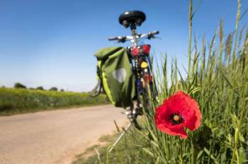 impa_to-go-biking-5178398-1280.jpg