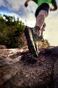impa_trail-30.jpg