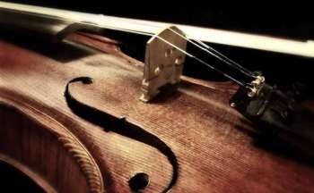 impa_violon-pixabay-libre-de-droit-3.jpg