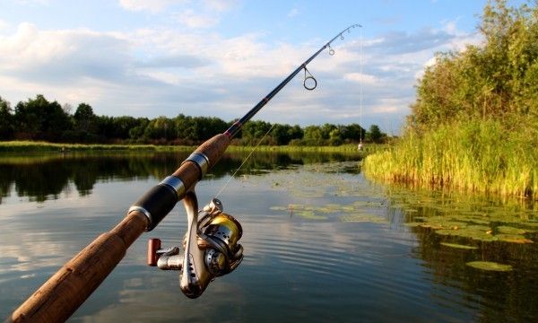 vignette canne à pêche