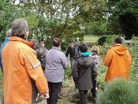 Visites